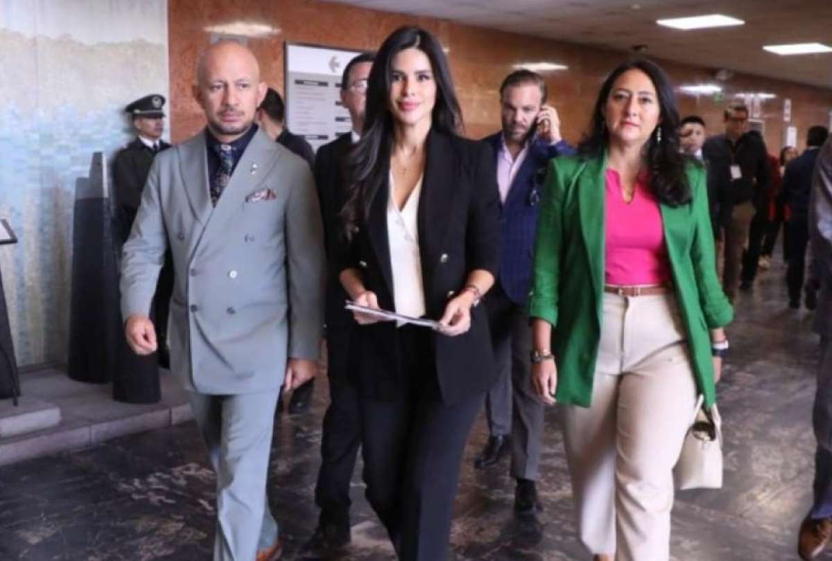 Diana J&aacute;come, asamble&iacute;sta de ADN, habl&oacute; sobre la presentaci&oacute;n de un proyecto de reforma al COIP, relacionado con la prisi&oacute;n preventiva. 