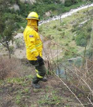 La extensi&oacute;n afectada por las llamas fue de 1.500 m2, seg&uacute;n los Bomberos. Foto: Cortes&iacute;a