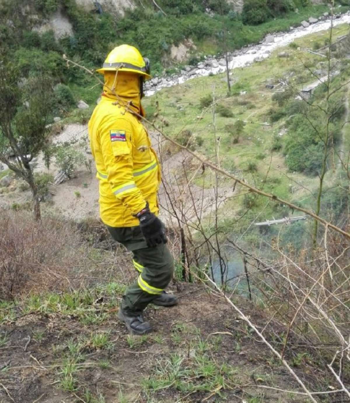 La extensi&oacute;n afectada por las llamas fue de 1.500 m2, seg&uacute;n los Bomberos. Foto: Cortes&iacute;a