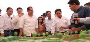 Los ministros Javier C&oacute;rdova (Miner&iacute;a) y Rafael Poveda (Sectores Estrat&eacute;gicos) inauguraron la obra.