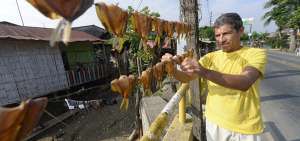 En las orillas de la carretera y caminos vecinales se observan hileras de pescados que son adobados con sal y achiote para su conservaci&oacute;n.