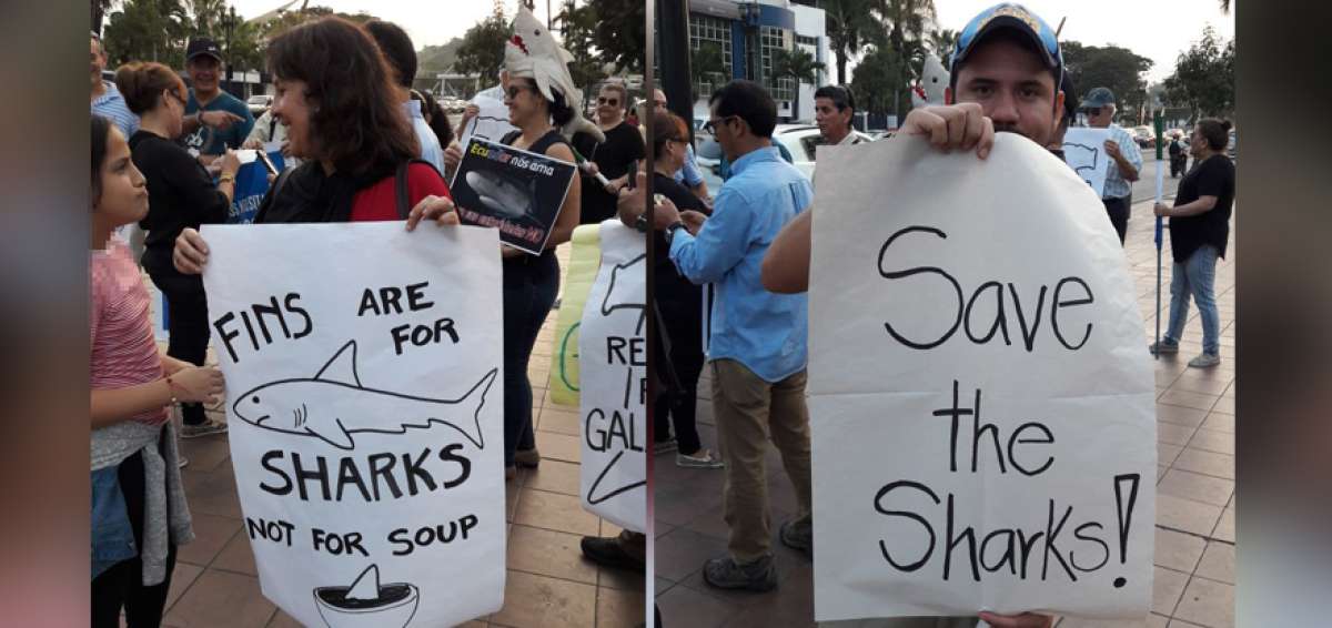 Los ciudadanos mostraron pancartas con leyendas en defensa de la vida marina de las Islas Gal&aacute;pagos.