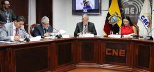 El Consejo Nacional Electoral (CNE) record&oacute; que el mandato de la Consulta Popular proh&iacute;be que los candidatos a estas dignidades hagan propaganda de manera personal.
