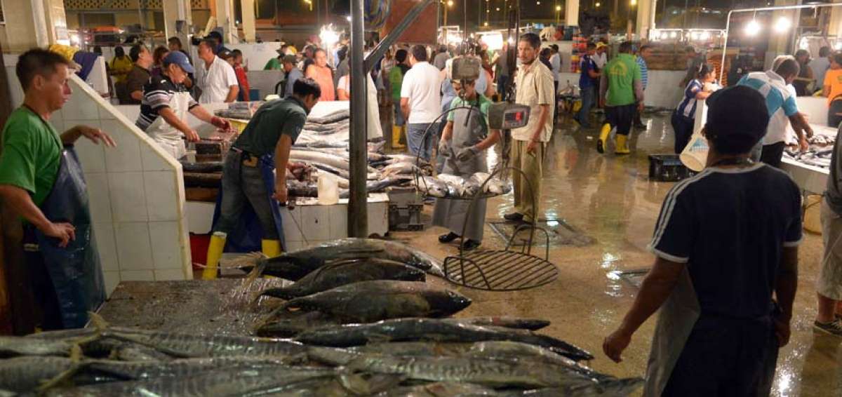 Los s&aacute;bados en la noche este centro de abastos recibe la visita de los due&ntilde;os de las picanter&iacute;as.