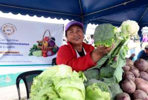 Conoce cómo acceder a los bonos raíces