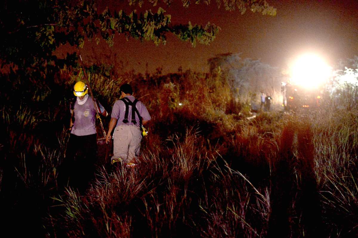 Incendio afect&oacute; un &aacute;rea del bosque protector Cerro Colorado