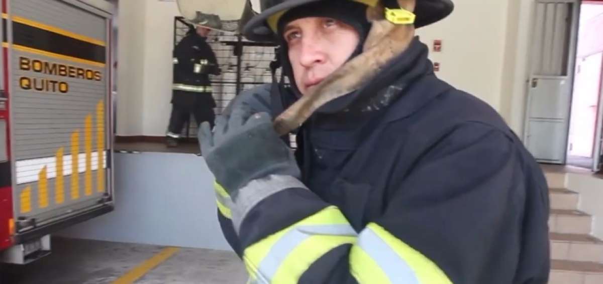 El Cuerpo de Bomberos de Quito se uni&oacute; al reto. 