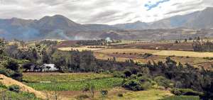 El 58% de los habitantes de Imantag se dedica a la agricultura, a la siembra de todo tipo de hortalizas, como habas y ma&iacute;z. Fotos: Patricio Carrera/ El Tel&eacute;grafo