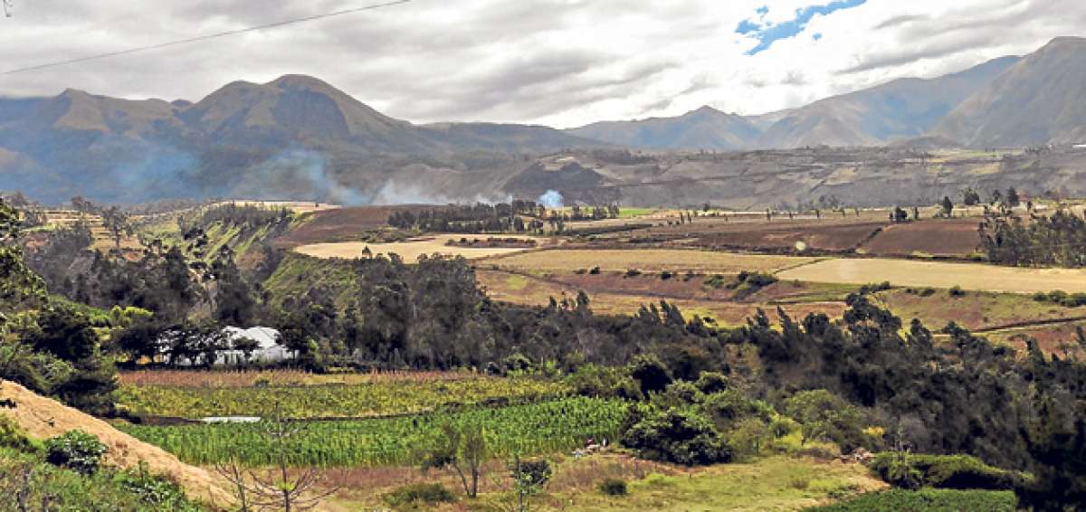 El 58% de los habitantes de Imantag se dedica a la agricultura, a la siembra de todo tipo de hortalizas, como habas y ma&iacute;z. Fotos: Patricio Carrera/ El Tel&eacute;grafo