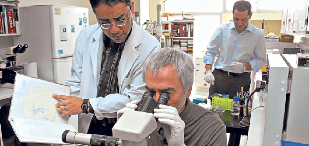 La falta de apoyo a los investigadores ha causado que Espa&ntilde;a pierda cient&iacute;ficos en &aacute;reas como la lucha contra el c&aacute;ncer, biotecnolog&iacute;a y ciencias alimenticias. Foto: Tomada de Internet