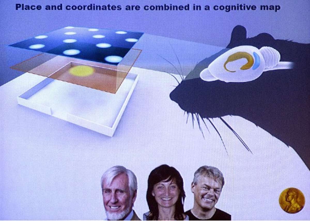 Seg&uacute;n el jurado, el hallazgo tiene repercusiones desde filos&oacute;ficas hasta m&eacute;dicas, al ser susceptible de ser aplicado para tratar la enfermedad de Alzheimer. Foto: AFP