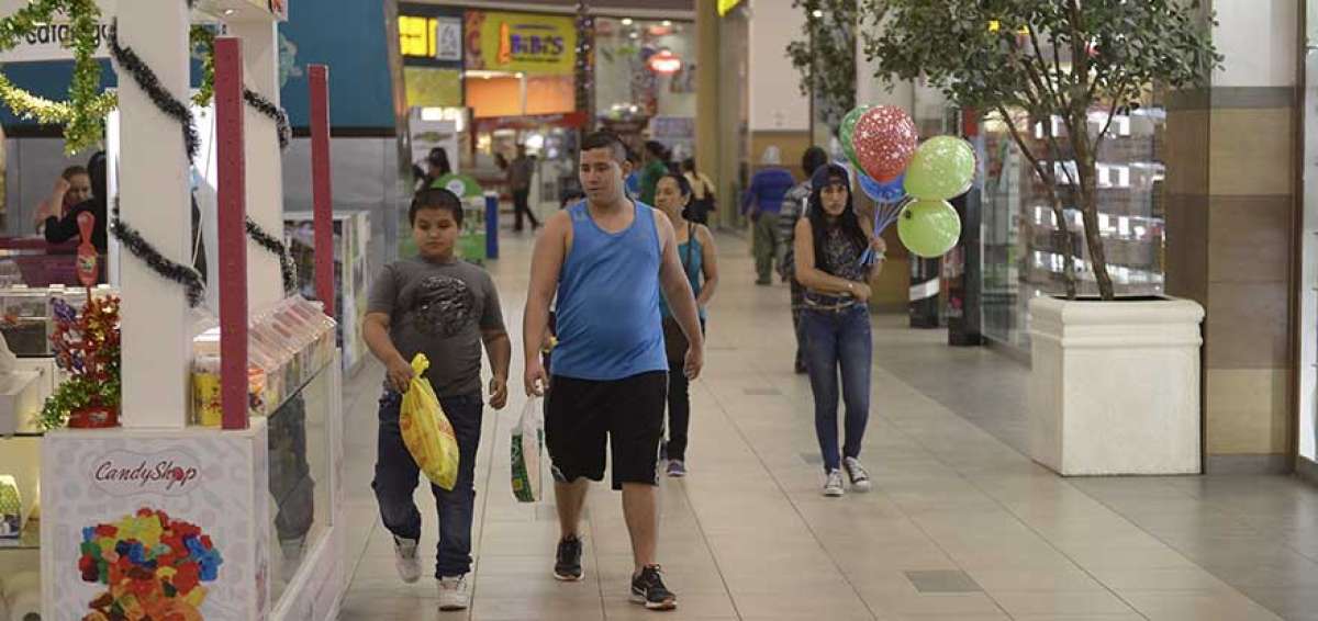 Los centros comerciales reflejan el estilo de vida de la poblaci&oacute;n. En la parte constructiva se pueden implementar alternativas ecol&oacute;gicas.
