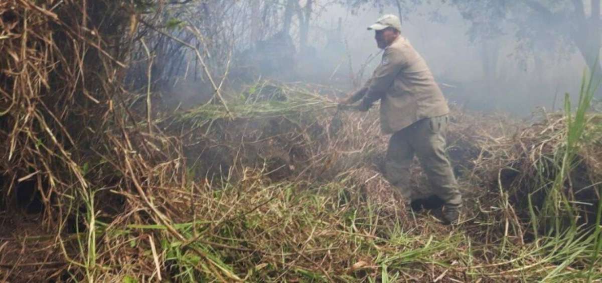 Incendio consumi&oacute; 5 hect&aacute;reas en isla Santa Cruz
