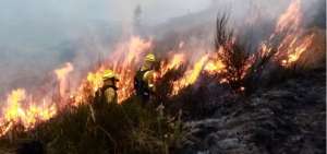 Presunto responsable de incendio en cerro Ilal&oacute; ser&aacute; multado