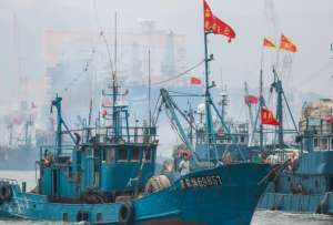 En China hay una alta demanda de mariscos para consumo interno. 