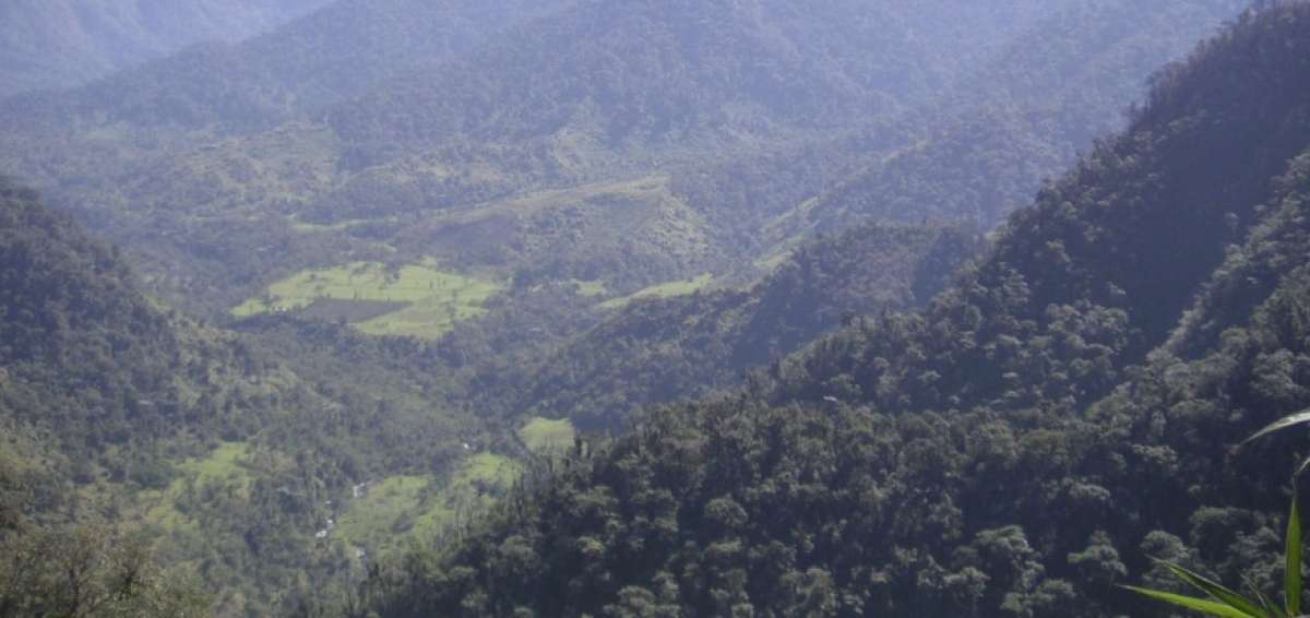 Zona del Choc&oacute; Andino espera declaratoria de reserva de bi&oacute;sfera
