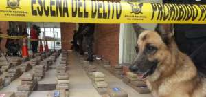 Los agentes antinarc&oacute;ticos mostraron la droga incautada. 