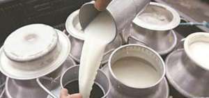 3 millones de litros de leche se perdieron diariamente