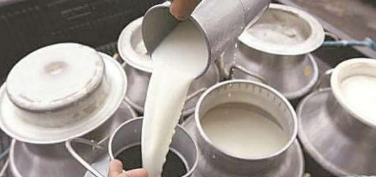 3 millones de litros de leche se perdieron diariamente