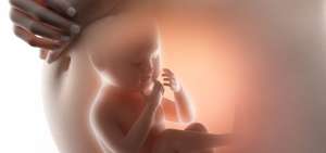 Desde que est&aacute;n en el vientre, los beb&eacute;s se sienten atra&iacute;dos por los rostros de los seres humanos