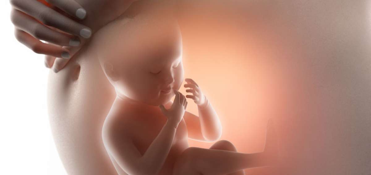 Desde que est&aacute;n en el vientre, los beb&eacute;s se sienten atra&iacute;dos por los rostros de los seres humanos
