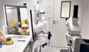 Para elaborar la vacuna contra la malaria la farmac&eacute;utica GSK recibi&oacute; fondos de la Fundaci&oacute;n Bill y Melinda Gates. Foto: Leonardo Boix / El Tel&eacute;grafo