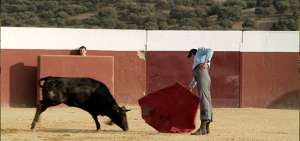 El filme se inspira en la carrera del torero Mariano Cruz, quien este a&ntilde;o dej&oacute; la tauromaquia debido a la prohibici&oacute;n de las corridas en casi todo el pa&iacute;s.