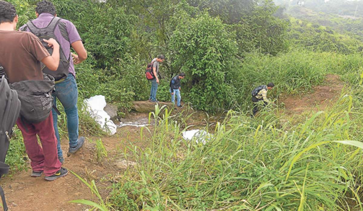 En la parte lateral de la Espol hay un camino en medio de la maleza -hecho de piedras- que lleva a los alumnos directo a la parada de la l&iacute;nea 156. Foto: Alfredo Piedrah&iacute;ta / El Tel&eacute;grafo