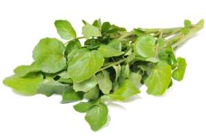 Los berros, nutritivos y saludables