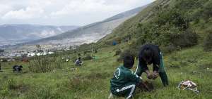 La reforestaci&oacute;n es una de las actividades que se promueven para evitar mayor afectaci&oacute;n en el ambiente generada por el cambio clim&aacute;tico.