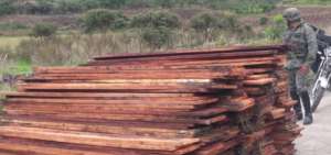 La madera fue incautada por personal de las Fuerzas Armadas.