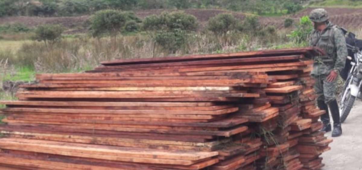 La madera fue incautada por personal de las Fuerzas Armadas.