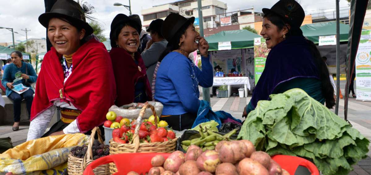 La participaci&oacute;n de las mujeres ind&iacute;genas en este tipo de siembra limpia es importante en esta provincia.
