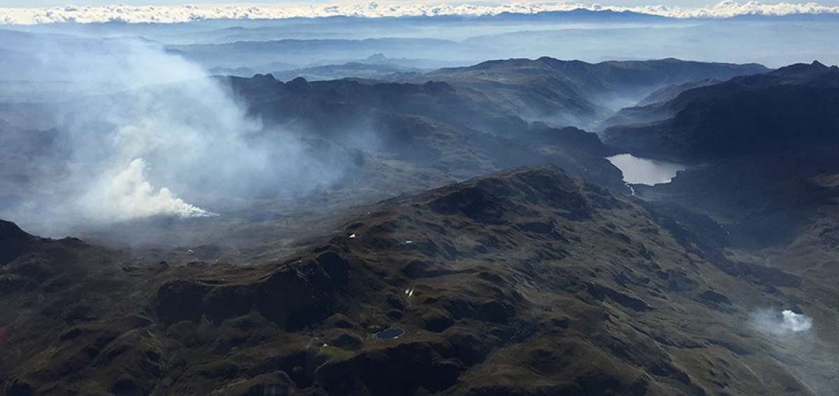 El incendio forestal destruy&oacute; m&aacute;s de 250 hect&aacute;reas de bosque y chaparro. Ayer siniestro fue sofocado al mediod&iacute;a de ayer tras varios d&iacute;as de lucha.