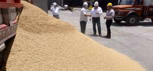 Cuando los agricultores venden el arroz en c&aacute;scara los margina en ganancias, por cada saca llena pierden entre 30 y 40 libras.