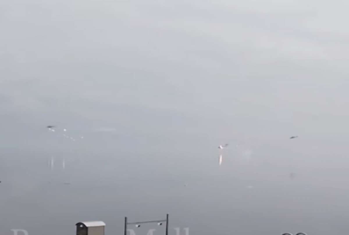 Video muestra a soldados ucranianos derribando helicópteros rusos