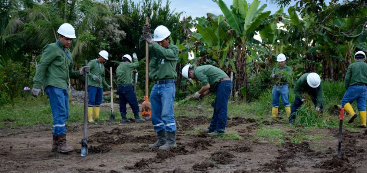 Amazon&iacute;a Viva incorporar&aacute; a 240 trabajadores