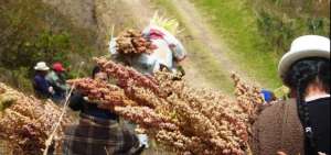 En el Congreso se resalta el valor nutricional de la quinua, que es cultivado en provincias de la Sierra centro y norte de Ecuador.