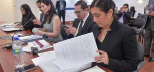 Johanna Pes&aacute;ntez, secretaria jur&iacute;dica de la Presidencia, represent&oacute; al Ejecutivo en la audiencia.