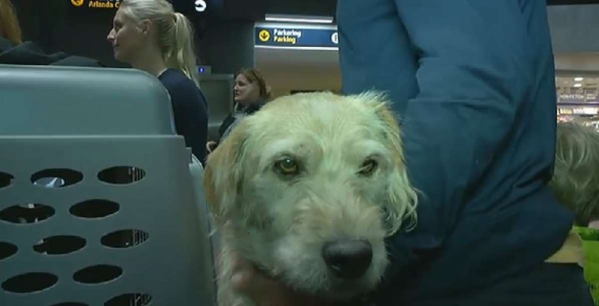 Arthur ya est&aacute; en Suecia (Video)