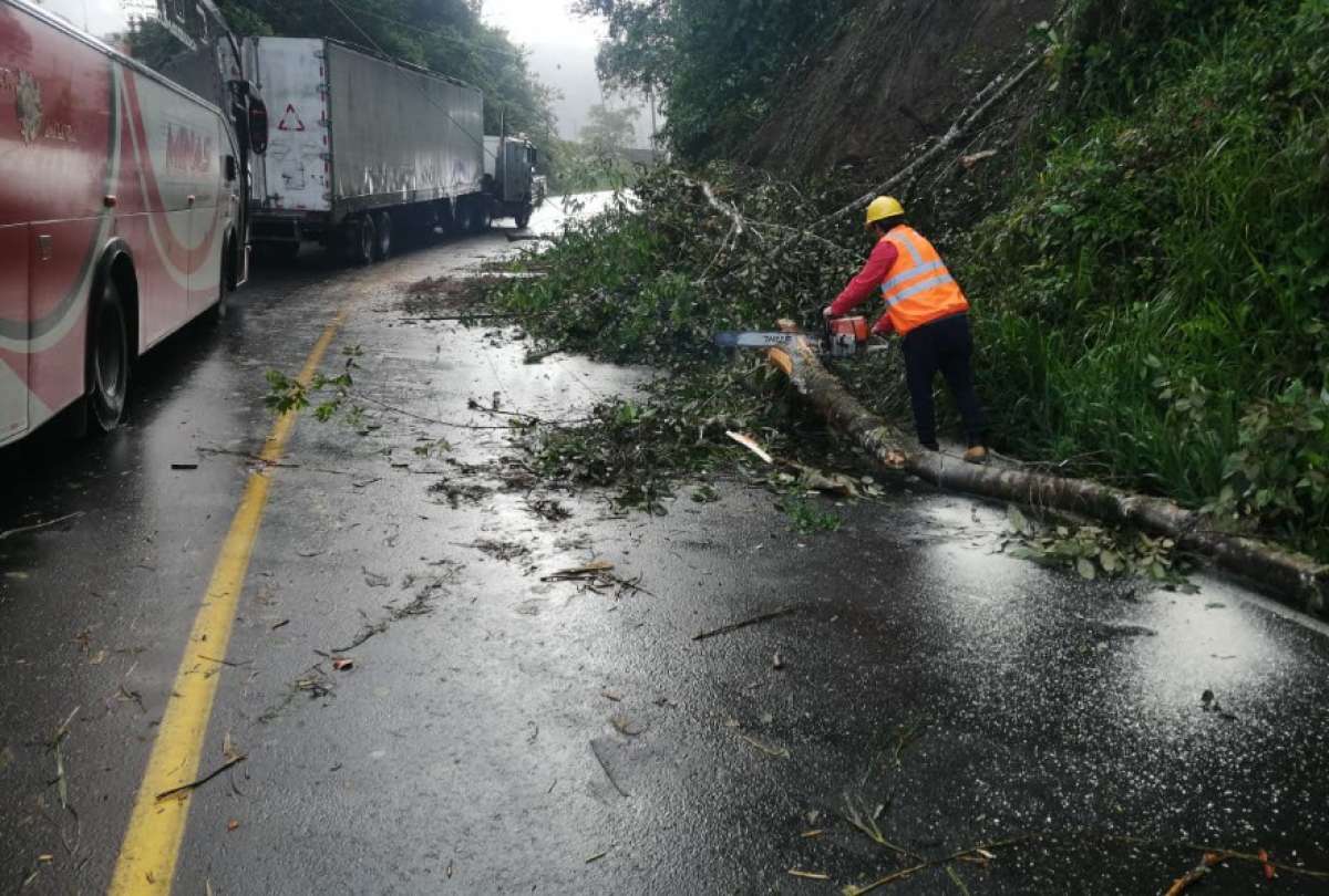 ECU 911 refuerza monitoreo vial: cierres por derrumbes y alertas por calzada mojada en varias provincias