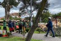 En Cuenca, dos niños murieron tras la caída de un árbol en el parque de La Paz. Hay menores atrapados. 