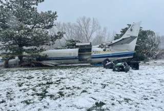 Un avión con 53 perros se estrelló en Estados Unidos