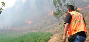 Cuatro instituciones se unen para combatir los incendios
