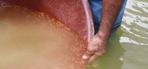 Los miembros del Comit&eacute; de Agricultores Nueva Esperanza adquirieron el capital semilla (alevines) con las ganancias de la segunda cosecha de tilapia.