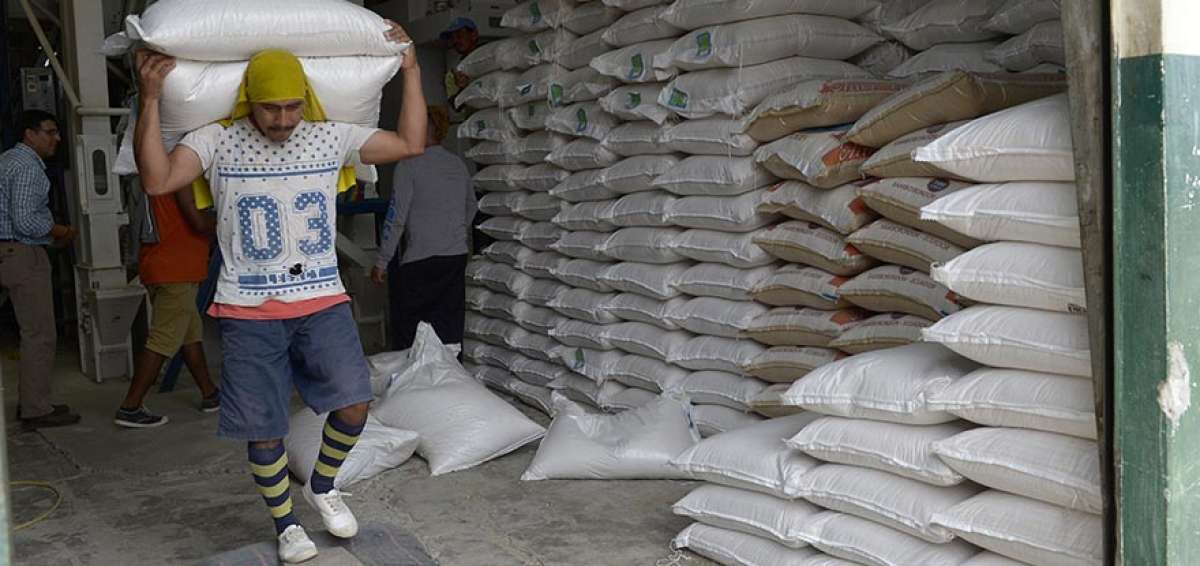 A cada quintal de arroz pilado se le incluye un distintivo que indica que el producto va a la UNA EP.