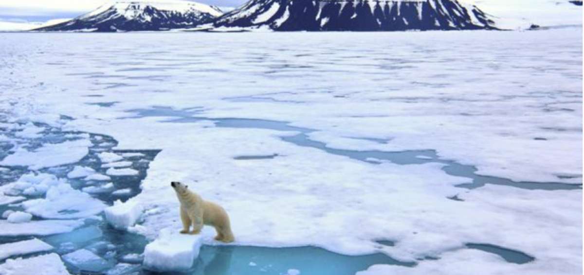 La contaminaci&oacute;n de pl&aacute;stico aumenta en aguas del &Aacute;rtico, seg&uacute;n un estudio