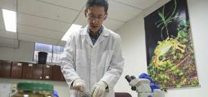 Santiago Ron es uno de los investigadores de la Univ. Cat&oacute;lica del Ecuador. En el centro opera el programa Arca de No&eacute; que trabaja con anfibios y reptiles.