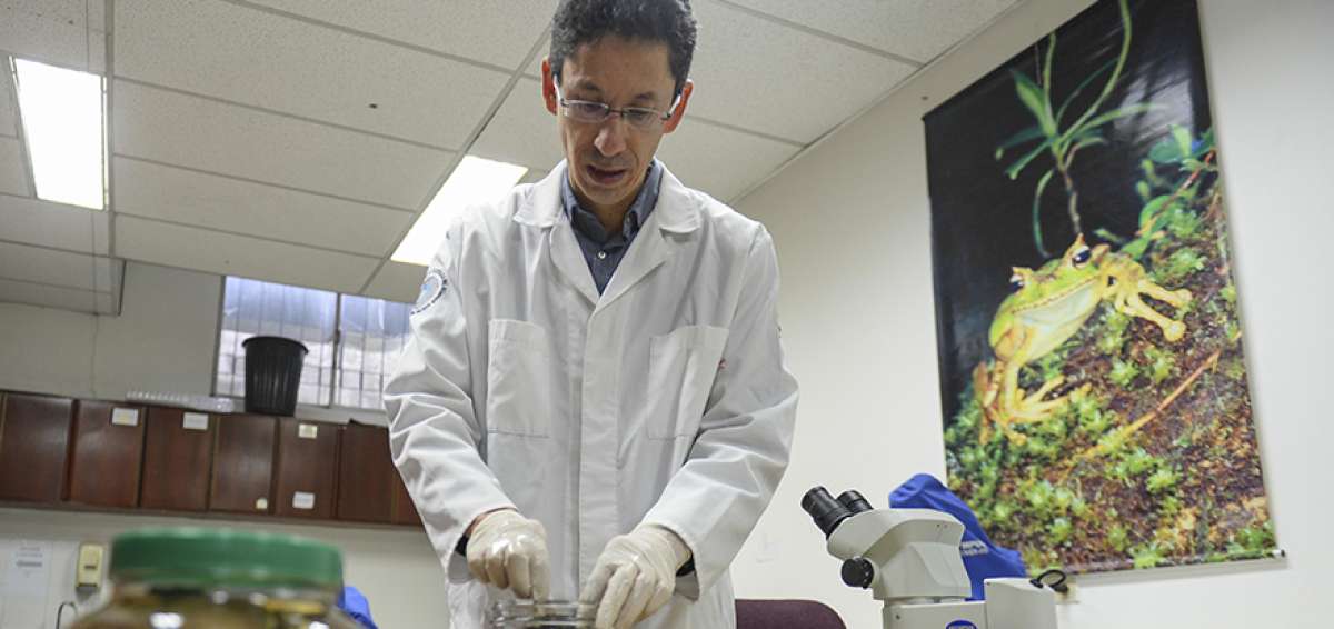 Santiago Ron es uno de los investigadores de la Univ. Cat&oacute;lica del Ecuador. En el centro opera el programa Arca de No&eacute; que trabaja con anfibios y reptiles.
