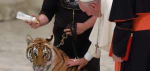 Un domador present&oacute; al Papa un cachorro de tigre, que se sobresalt&oacute; cuando el papa acerc&oacute; su mano.